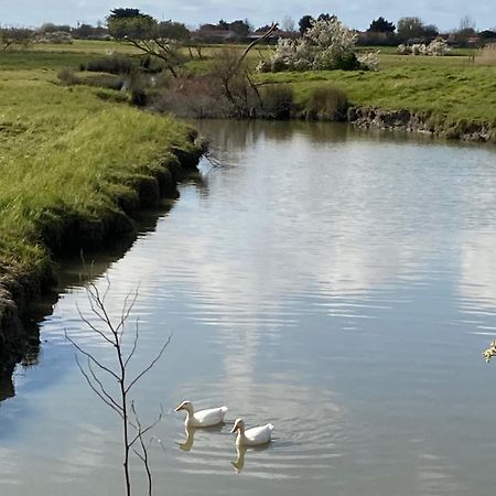 La Maison Des Marais De Sallertaine Buitenkant foto